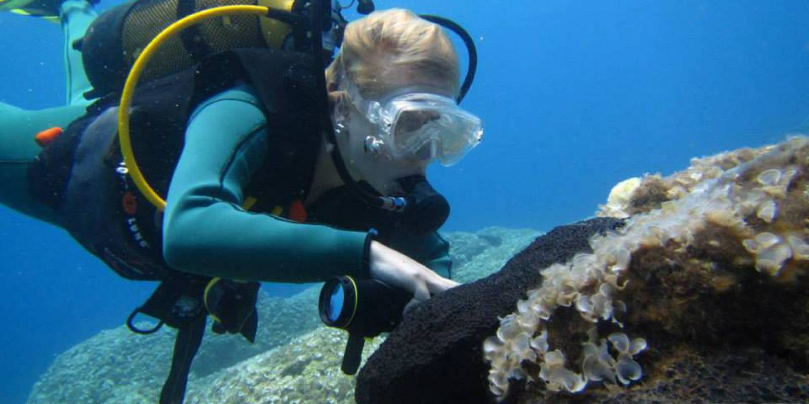 Kalymnos Diving Center 